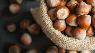 TMO’nun fındık alımları 1 Eylül’de başlıyor