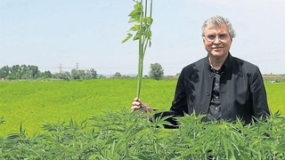 Tohumun can bulduğu her karış toprağı bereketli: Sakarya