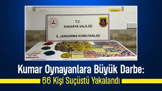 Tombalacılar suçüstü yakalandı