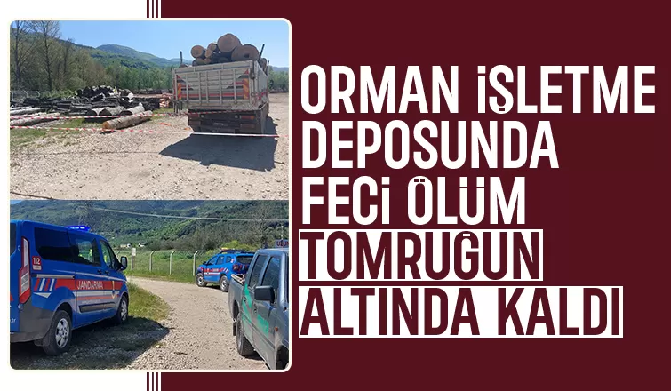 Düşen tomruğun altına kalan işçi hayatını kaybetti