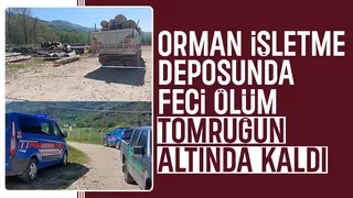 Düşen tomruğun altına kalan işçi hayatını kaybetti