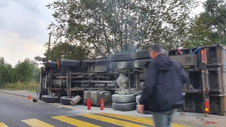 Tomruk yüklü kamyon devrildi: 1 yaralı