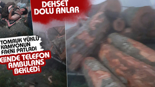 Tomruk yüklü kamyonun freni patladı, faciadan dönüldü