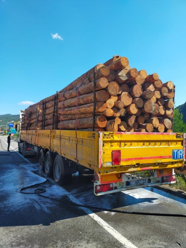 Tomruk yüklü tır az kalsın kül olacaktı