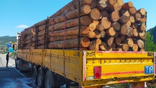 Tomruk yüklü tır az kalsın kül olacaktı