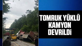 Tomruk yüklüydü devrildi