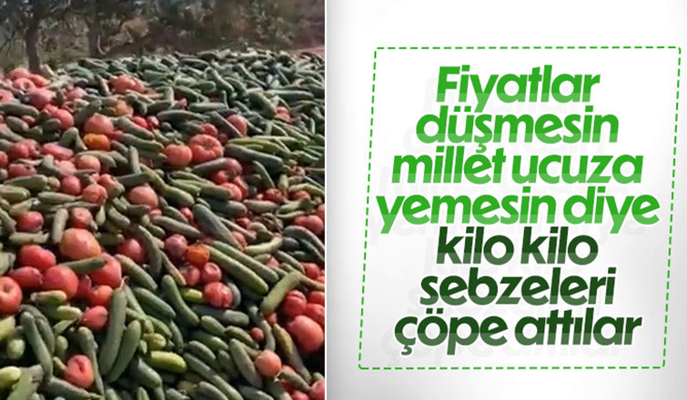 Tonlarca sebzeyi boş araziye döktüler