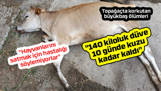 Topağaçta ölümler kontrol altına alınmaya çalışılıyor