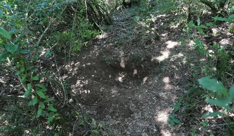 Toprağa gömülü cesedin ardından vahşet çıktı