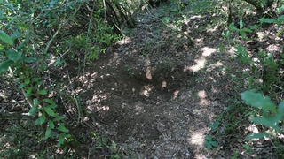 Toprağa gömülü cesedin ardından vahşet çıktı