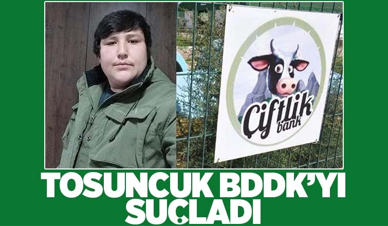 Tosuncuk: Kusurlu olan BDDK’nın kendisidir