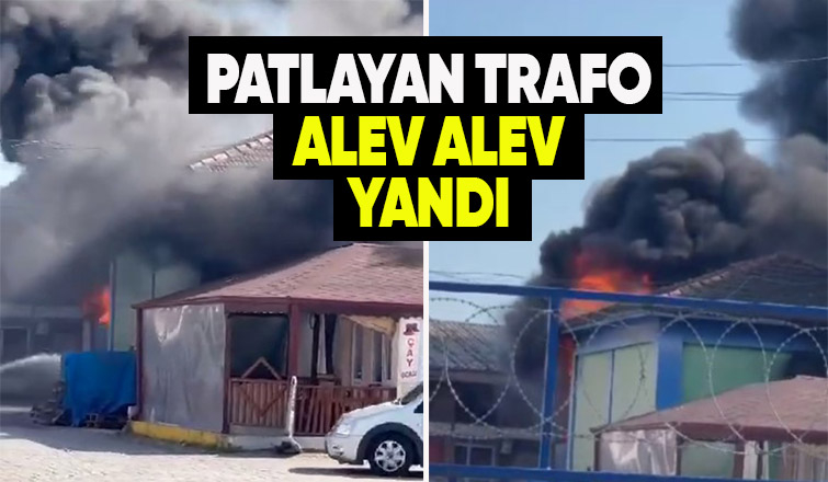Trafo alevlere teslim oldu