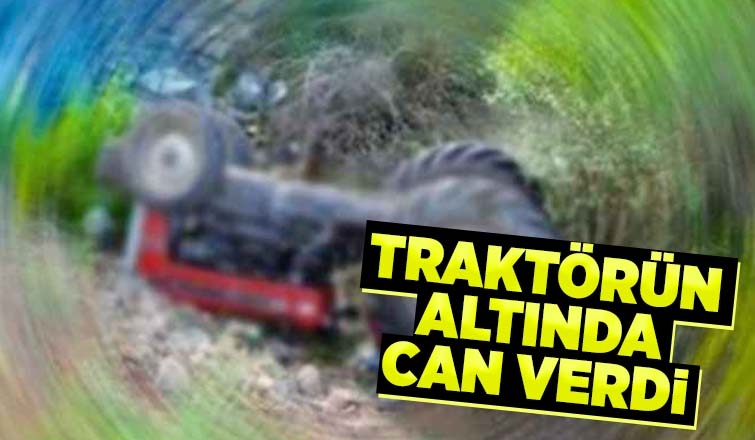Traktör altında can verdi