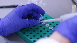 TÜBİTAK Başkanı, yerli aşı için tarih verdi!