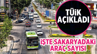 TÜİK Sakarya'da araç sayısını açıkladı