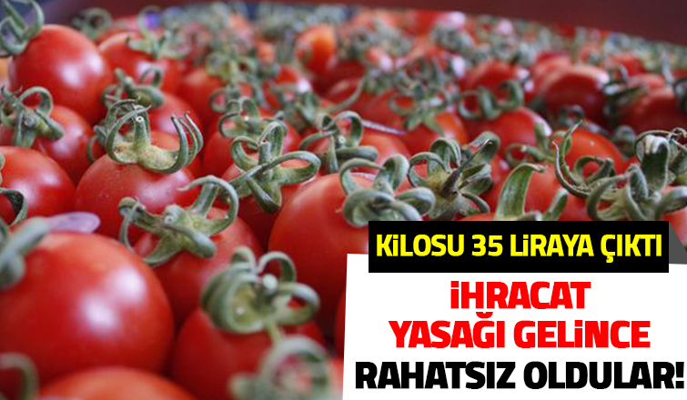 Tüketiciyi düşünen yok: İhracat yasağı rahatsız etti!