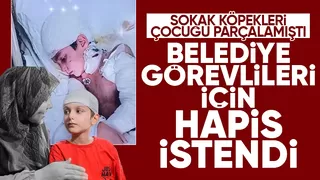 Tunahan'ı ağır yaralayan sokak köpeklerini toplamayan görevliler için hapis talebi