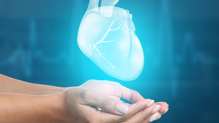 Türkiye'de 21 yılda 74 binden fazla organ nakli yapıldı