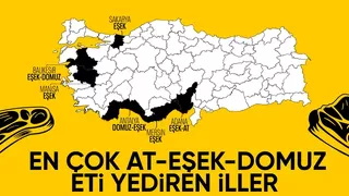 Türkiye'de en çok domuz, at ve eşek eti yedirilen iller belli oldu