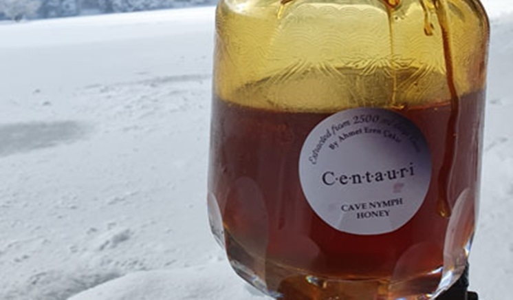 Türkiye'de mağaradan çıkarılan bu balın kilosu 96 bin TL