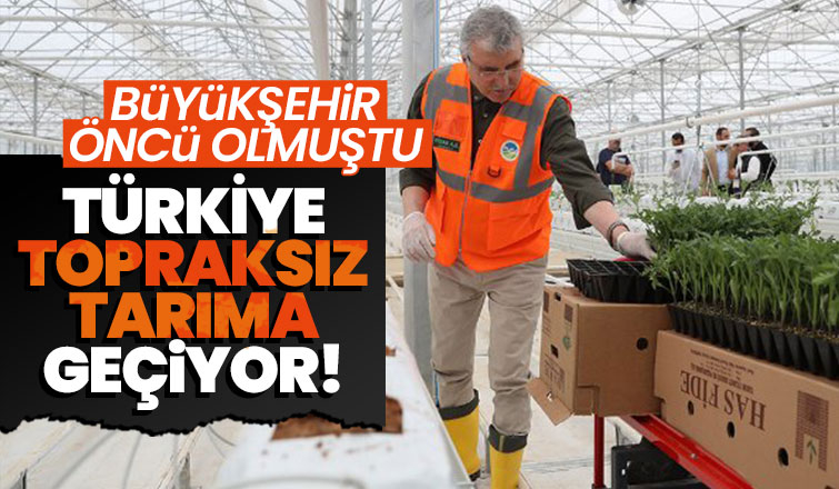 Türkiye'den topraksız ve dikey tarım girişimi