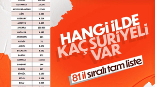 Türkiye'nin hangi ilinde kaç Suriyeli var: İşte rakamlar