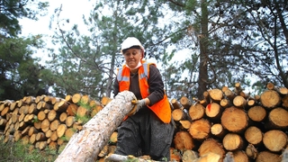 Türkiye'nin il sertifikalı kadın orman işçisi oldu