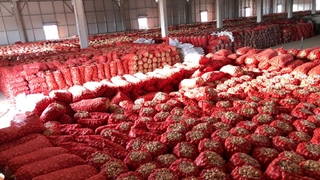 Türkiye yine patates-soğan sorunuyla karşı karşıya