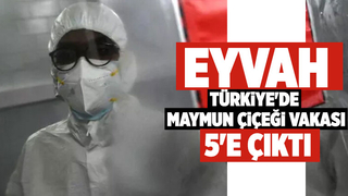 Türkiye’de maymun çiçeği vakaları yükseldi