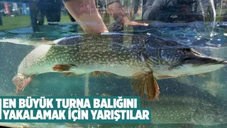 Turna balığı yakalama yarışması Sapanca Gölü'nde yapıldı