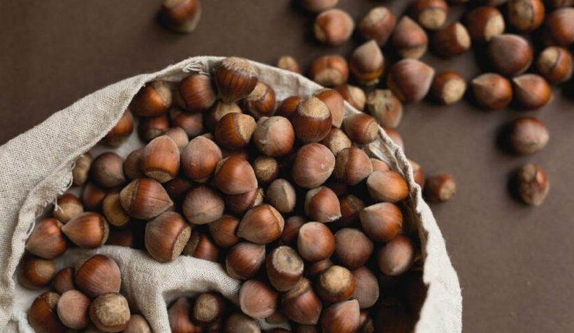 TZOB Başkanı Bayraktar'dan fındık açıklaması