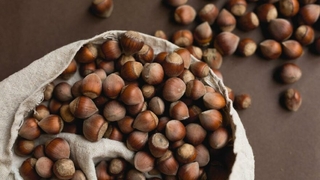 TZOB Başkanı Bayraktar'dan fındık açıklaması