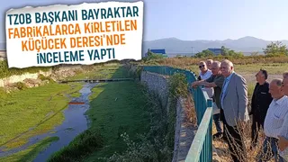 TZOB Başkanı Bayraktar'dan Küçücek Deresi'nde inceleme