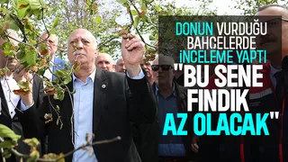 TZOB Başkanı bayraktar donun vurduğu fındık bahçelerinde inceleme yaptı