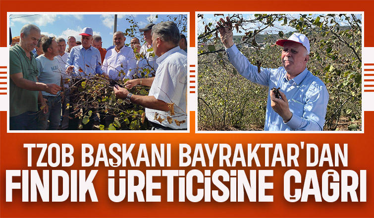 TZOB Başkanı Bayraktar: Kuraklık fındıkta büyük kayba yol açtı!