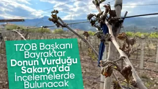 TZOB Başkanı don zararını yerinde görecek