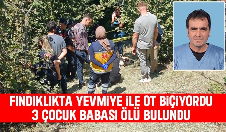 Üç çocuk babası ot biçtiği bahçede ölü bulundu