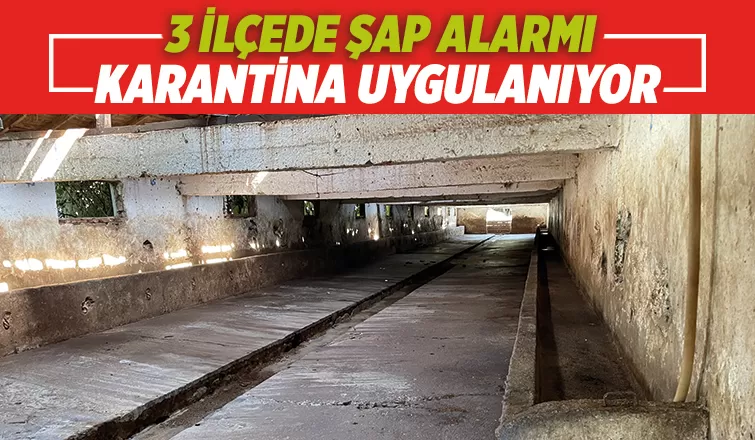 Üç ilçede şap alarmı