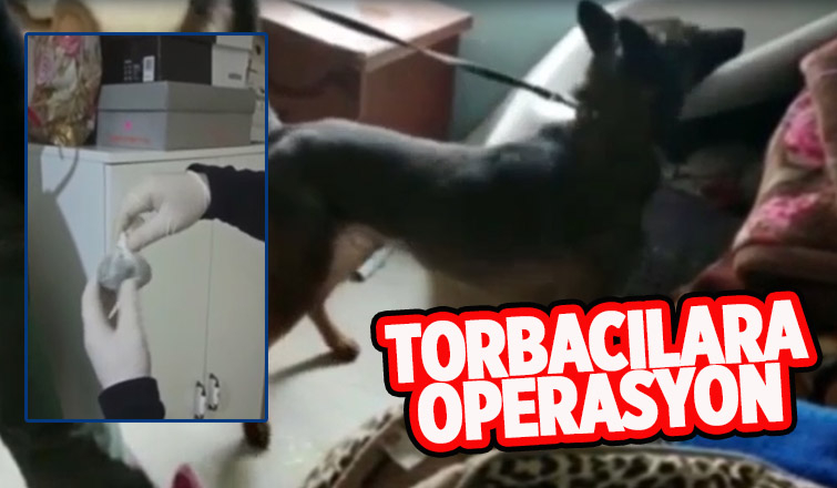 Üç ilçede torbacılara operasyon