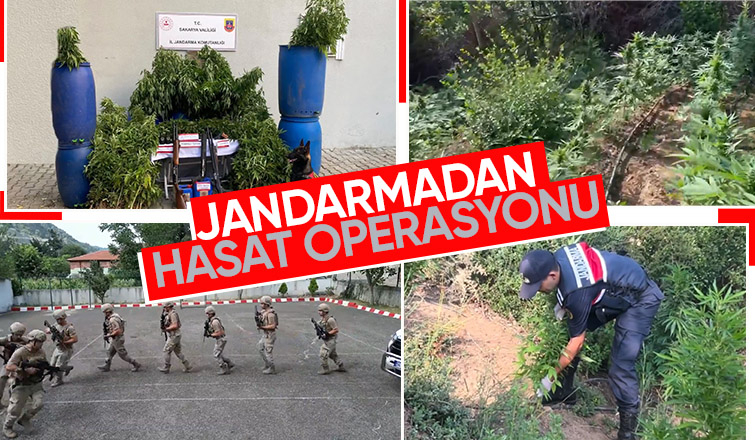 Üç ilçede uyuşturucu operasyonları
