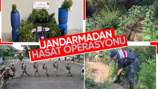 Üç ilçede uyuşturucu operasyonları