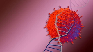 Üç yeni mutasyon daha keşfedildi; Daha bulaşıcı ve güçlüler