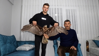 Uçmakta zorlanan doğana hayvan sever sahip çıktı