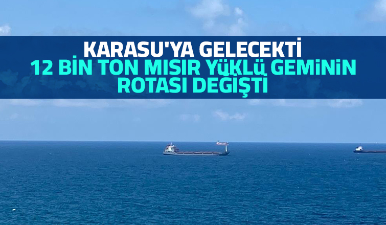 Ukrayna'dan Karasu'ya gelecek geminin rotası değişti