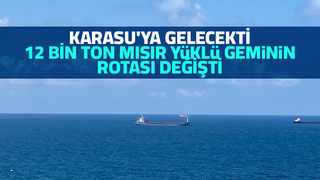 Ukrayna'dan Karasu'ya gelecek geminin rotası değişti