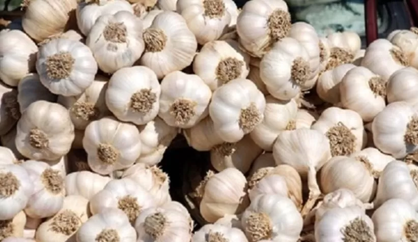 Ulaşım zamlandı, sarımsağın fiyatı düştü