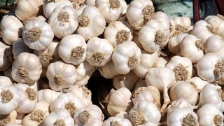 Ulaşım zamlandı, sarımsağın fiyatı düştü