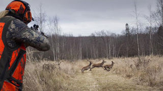Ülke genelinde kara avcılığı durduruldu