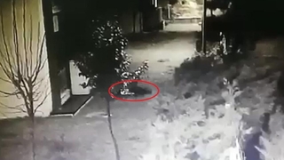 Üniversite öğrencisi 7. kattan düşmüştü: Tutuklu sevgiliye tahliye