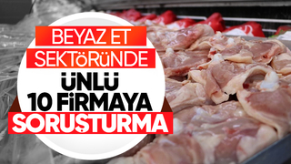Ünlü 10 tavuk firmaısna soruşturma